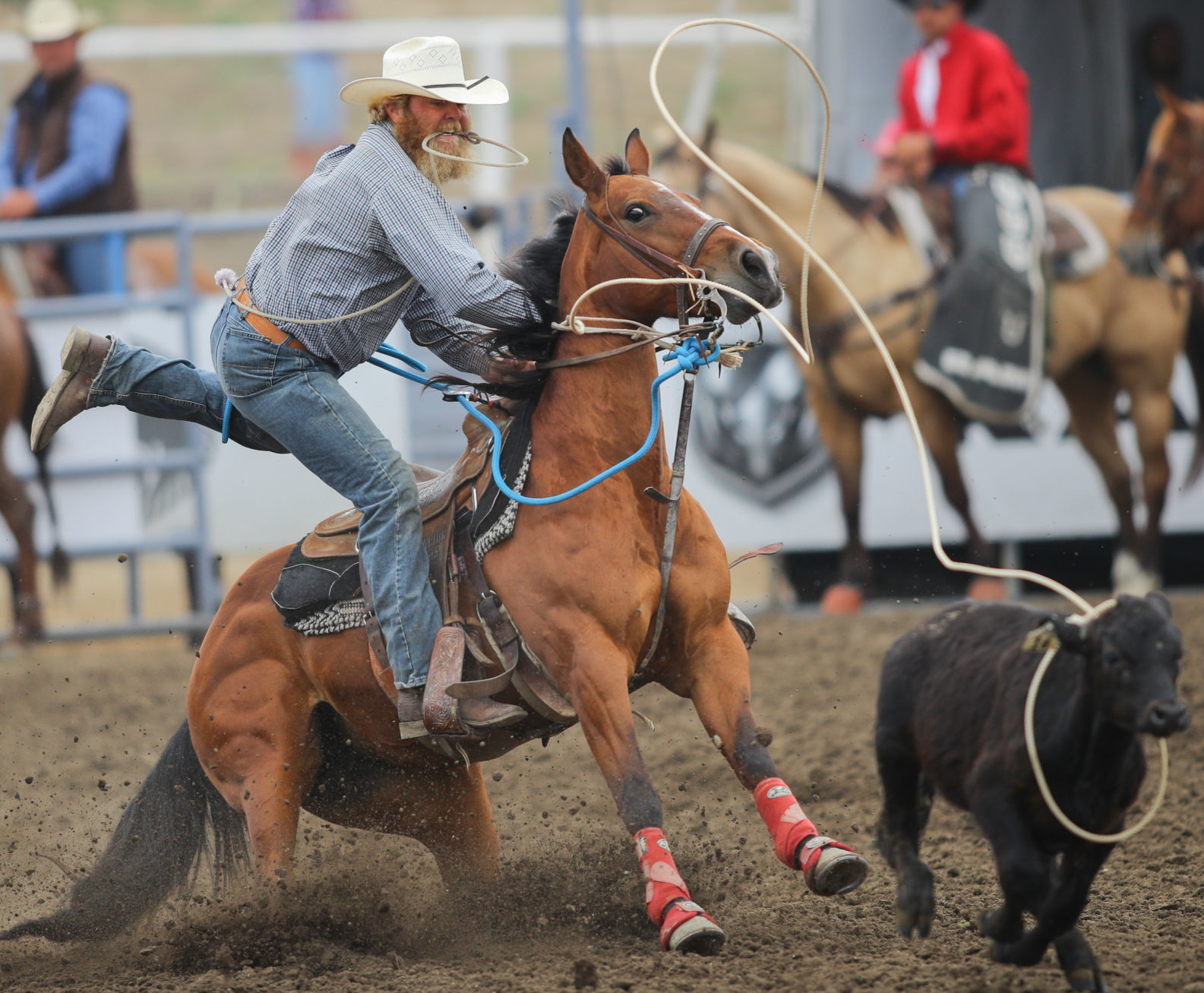 060219 Elks Rodeo Sunday 02.jpg
